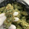 Jack Herer