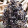 BLACK DIAMOND OG
