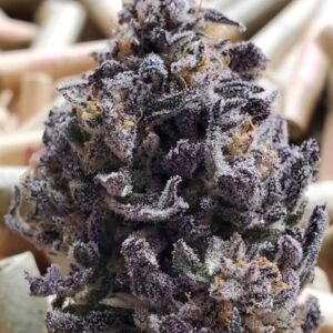 BLACK DIAMOND OG