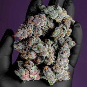 Purple Haze