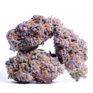 CHOCOLATE HASHBERRY