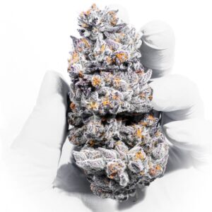 Black Berry