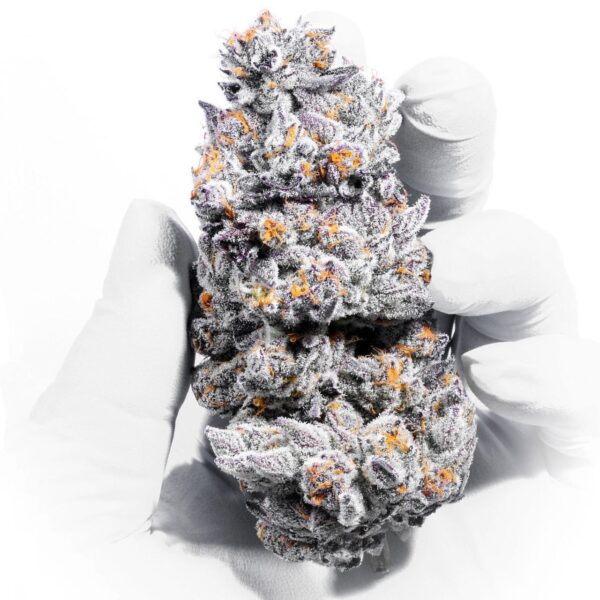 Black Berry