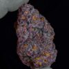 Blackberry Kush