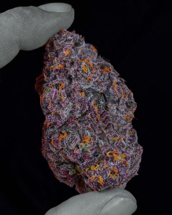 Blackberry Kush