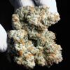 Blueberry Kush