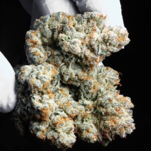 Blueberry Kush