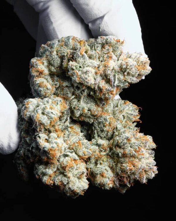Blueberry Kush
