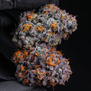 Blue Cheese