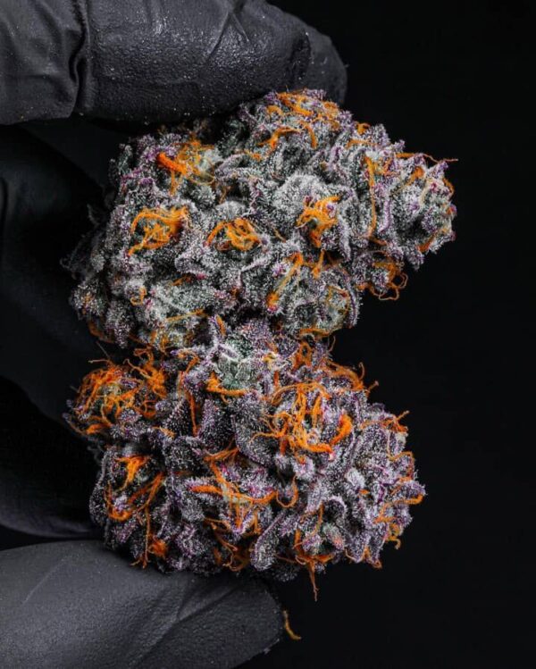 Blue Cheese