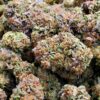 CHERRY PIE