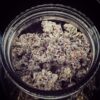 Strawberry Cough