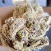 Purple Kush Strain (Royal Purple Kush)