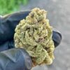 Durban Poison